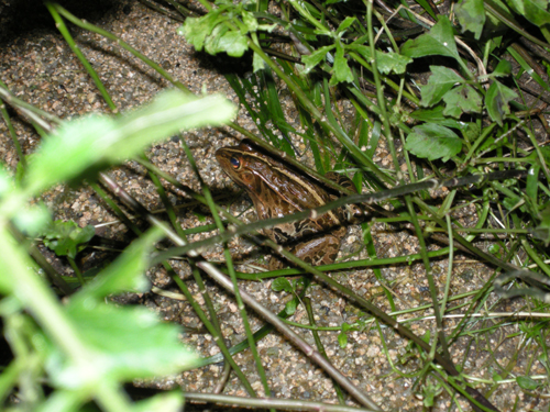 e0182728_23194633.jpg