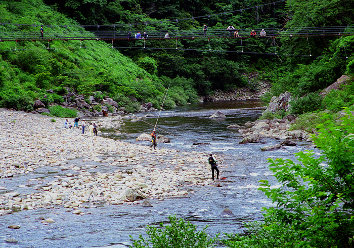 d0147530_75578.jpg