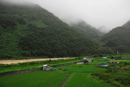 f0080530_823126.jpg