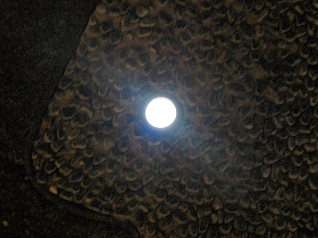 d0005632_23135249.jpg