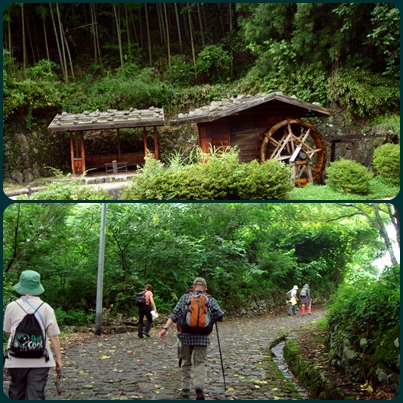d0037233_1421340.jpg