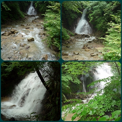 d0037233_1432636.jpg