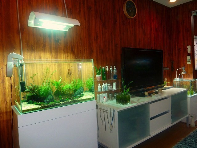 a0121134_1273622.jpg