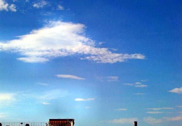 a0009035_1618596.jpg