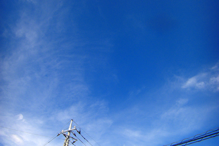 e0044635_168628.jpg
