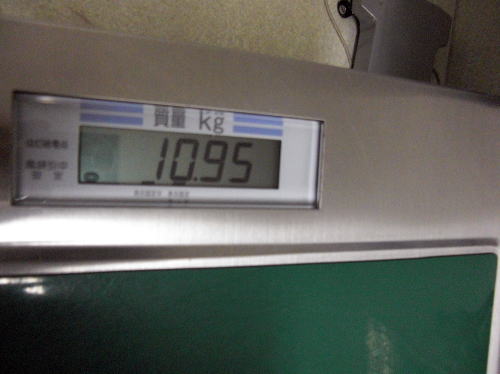 f0094843_1114060.jpg