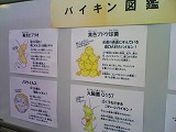 c0140844_1923740.jpg