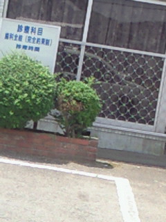 a0130348_12592345.jpg