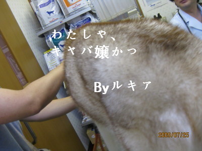 e0121548_21453470.jpg
