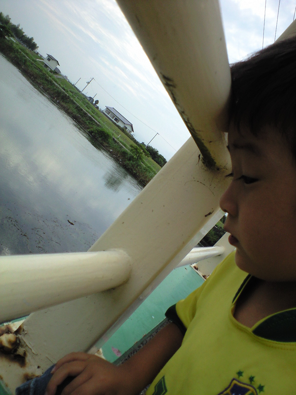 d0114253_2325159.jpg