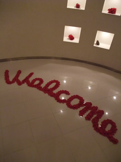 b0157660_11143719.jpg