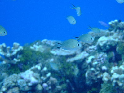 d0102664_1182758.jpg
