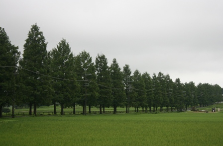 f0088569_10382446.jpg