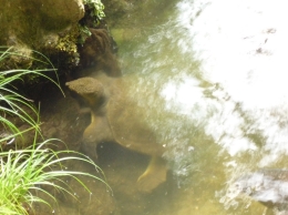 f0059671_158987.jpg