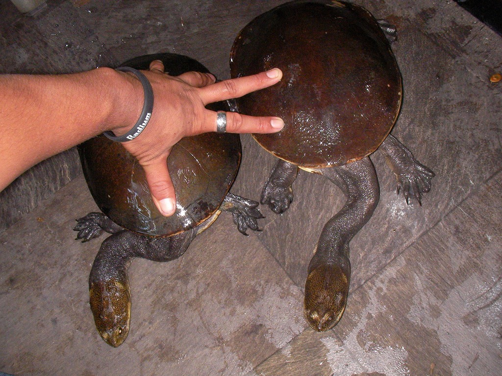 e0099576_2043339.jpg