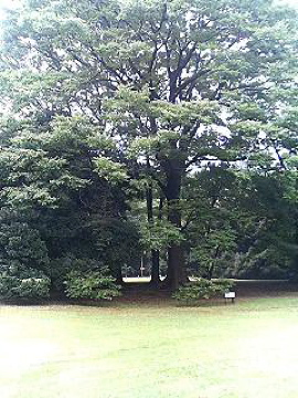 f0054677_943275.jpg