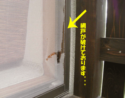 e0066883_16472376.gif