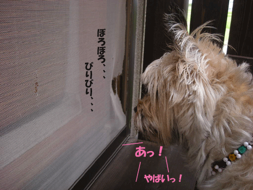 e0066883_16534772.gif