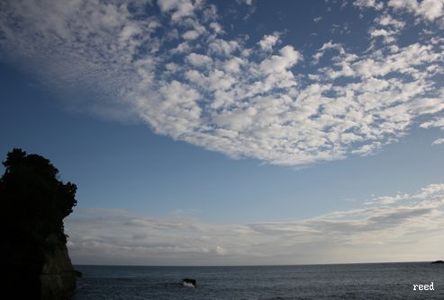b0163486_1951531.jpg