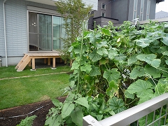c0160488_23224290.jpg