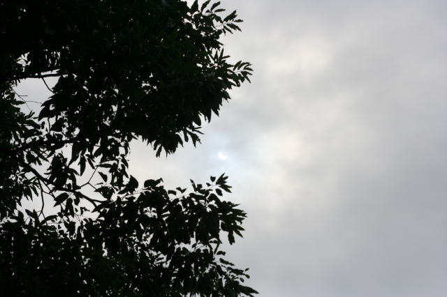 c0129389_17573651.jpg