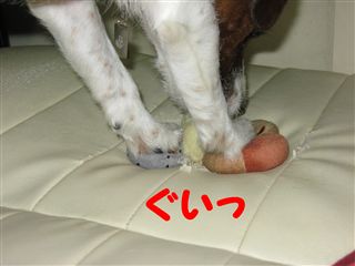e0121589_20551867.jpg