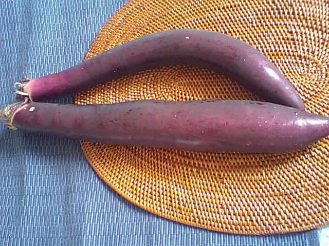 b0180990_81381.jpg