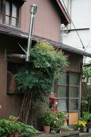 d0133693_0251614.jpg