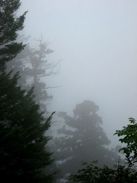 c0166296_1452913.jpg