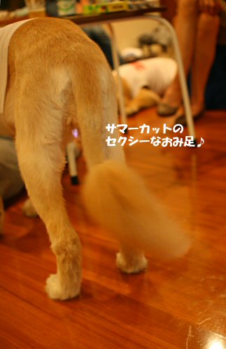 c0050400_013478.jpg