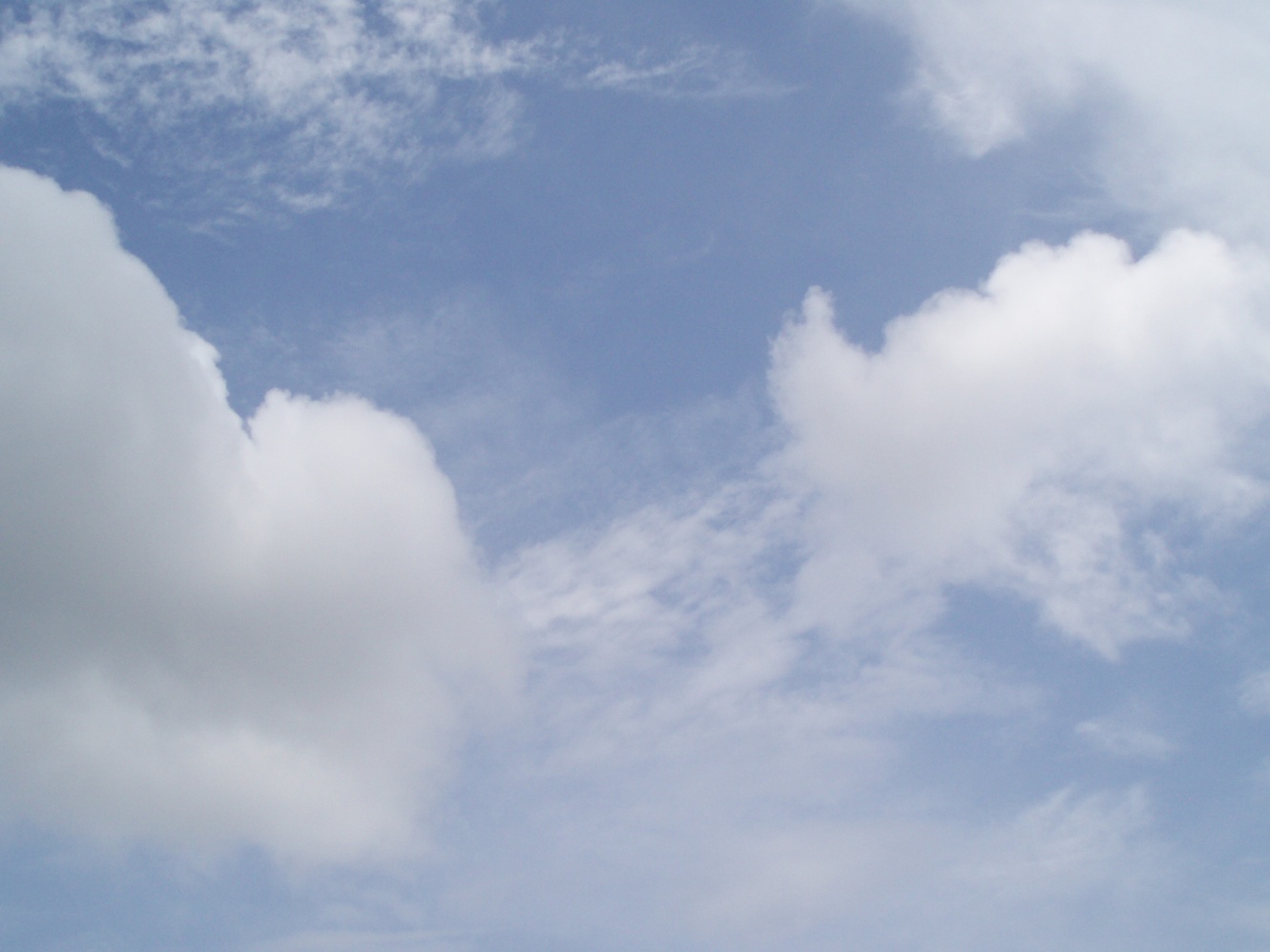 c0098304_1402148.jpg