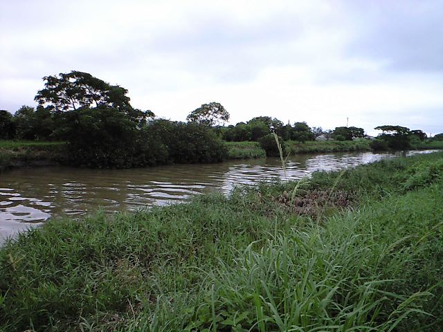 f0092906_031360.jpg