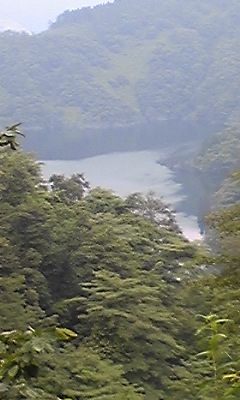f0179209_19291229.jpg
