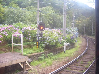 c0030112_12545817.jpg