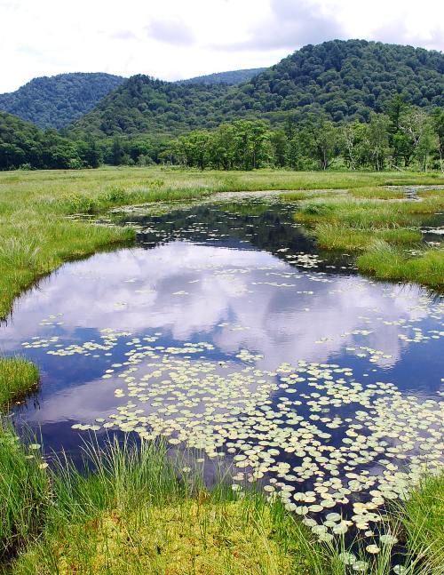 c0177814_1625180.jpg