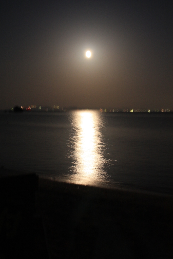 c0000816_2225915.jpg