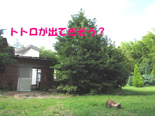 c0185516_2321750.jpg