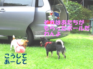 c0185516_2364564.jpg