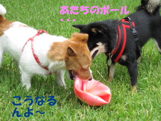 c0185516_2371771.jpg