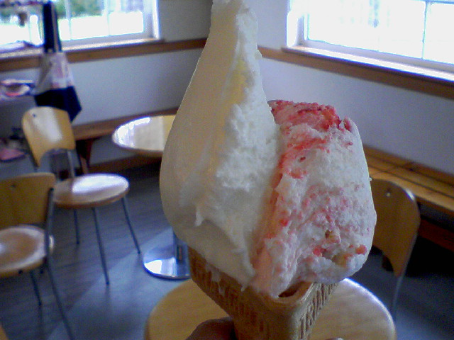 f0000616_3195491.jpg