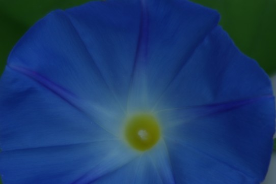 c0152317_20155197.jpg