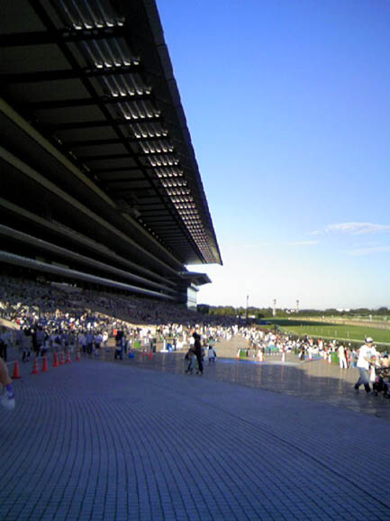 c0083518_23263287.jpg