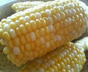 f0036223_8105483.jpg