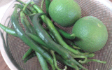 a0062324_21134127.gif
