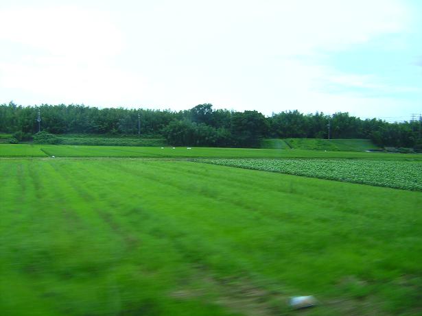 c0197524_117220.jpg