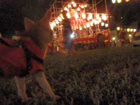 f0022024_20113013.jpg