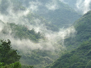 d0023725_15264050.jpg