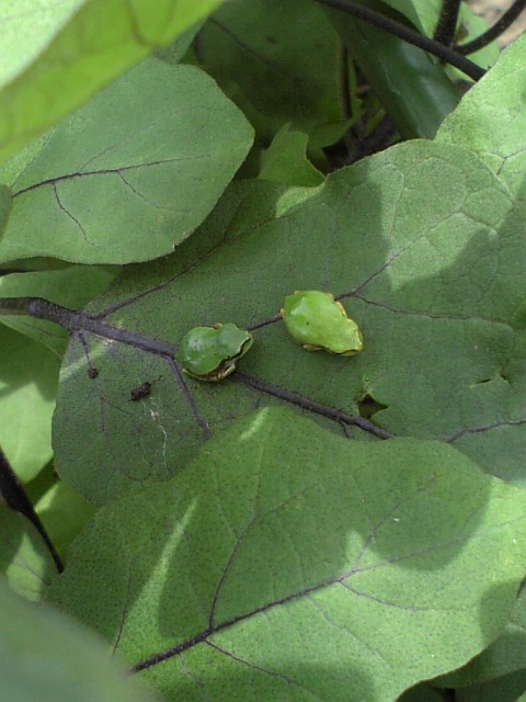c0168626_1654499.jpg