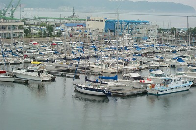 c0123031_1513528.jpg