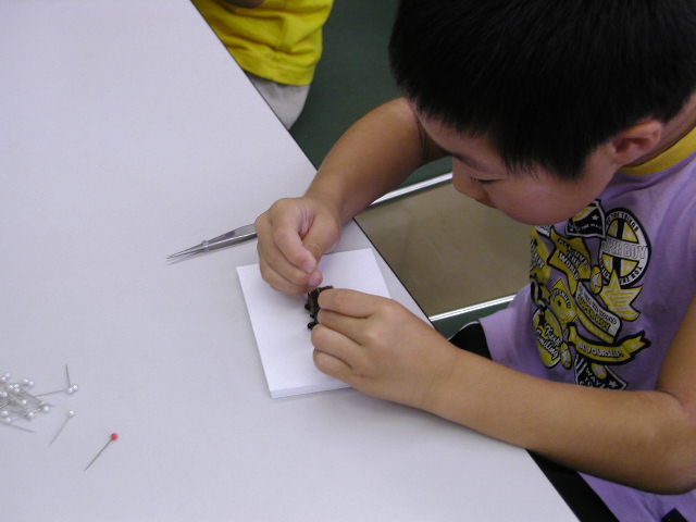 b0099538_17325045.jpg